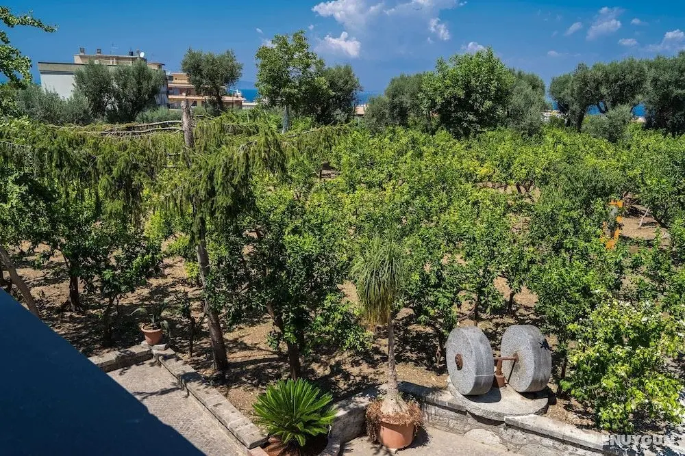 Lemon Factor Sorrento - Dış Mekan