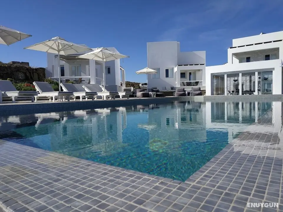 Lemon Tree Houses - Öne Çıkan Resim