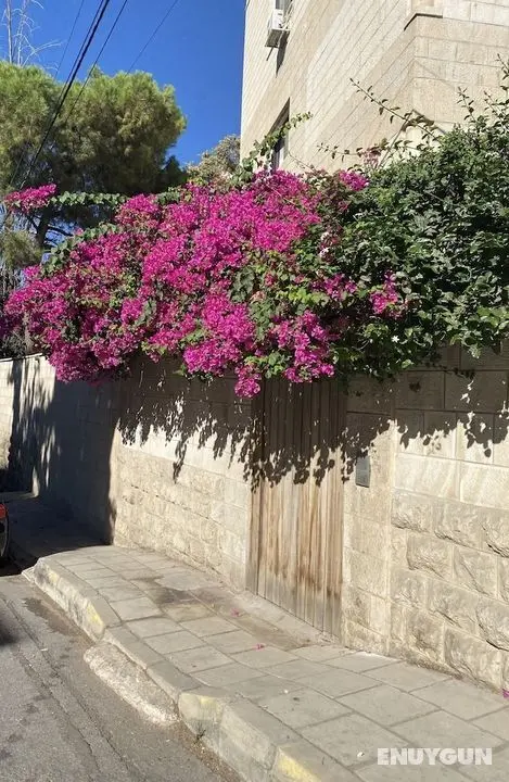 Lemon Tree Residence - Öne Çıkan Resim