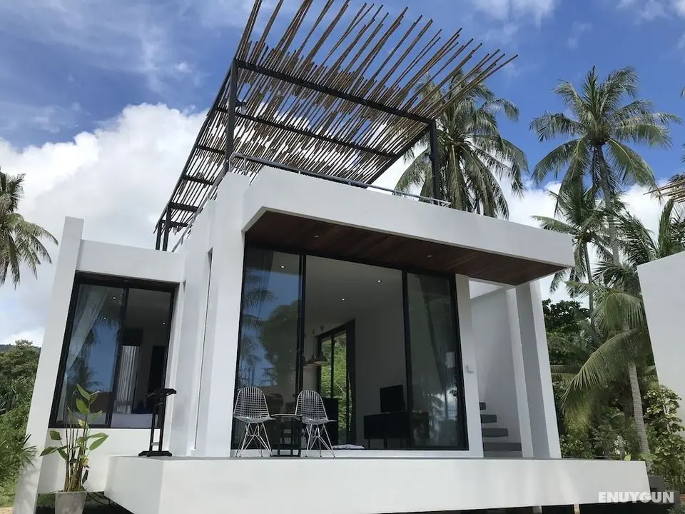 Lennon Maison - Öne Çıkan Resim