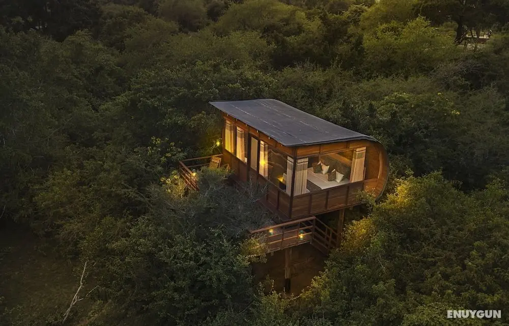 Leopard Nest - Glamping in Yala - Öne Çıkan Resim
