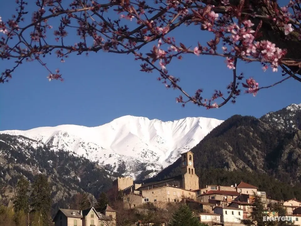 Les 2 Lions - Öne Çıkan Resim