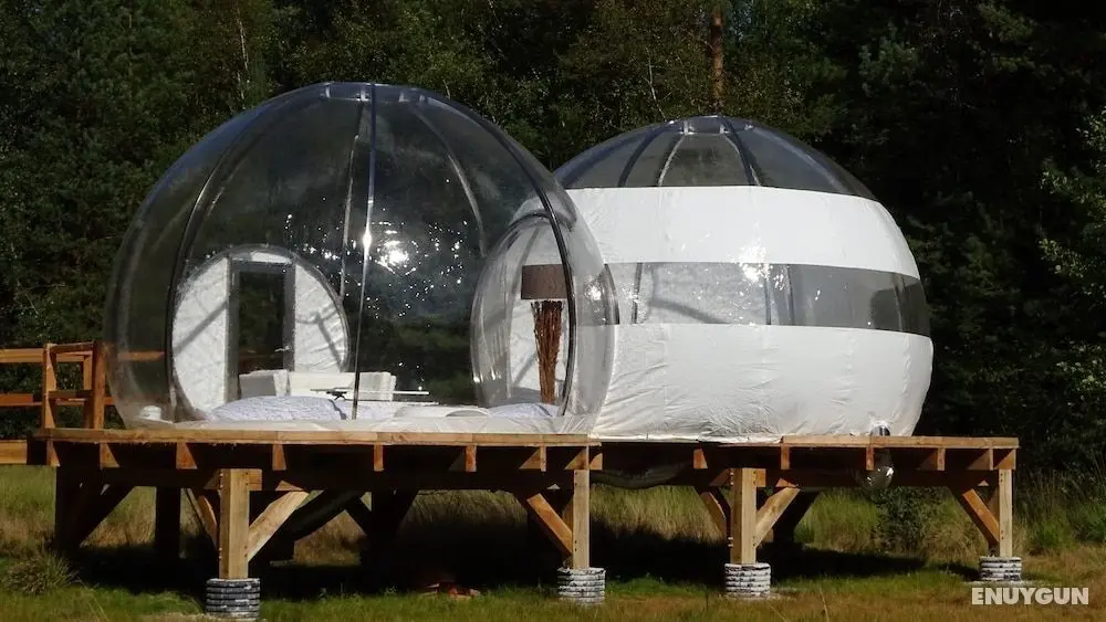 Les Bulles de Sologne - Hébergements Insolites - Öne Çıkan Resim