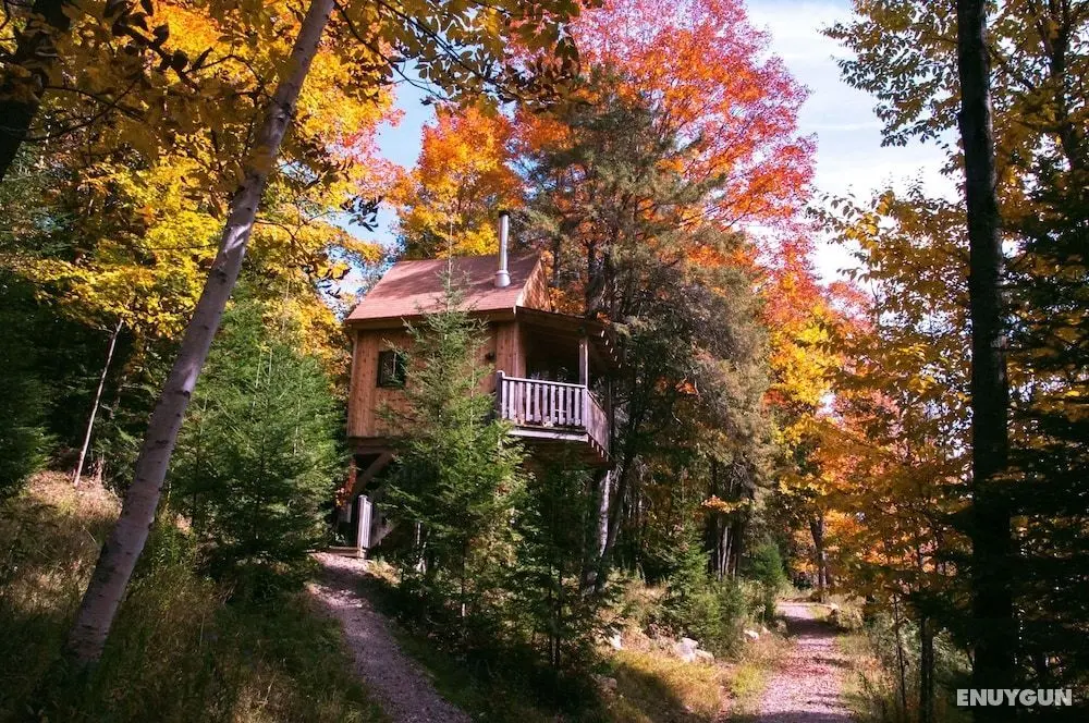 Les Chalets du Trappeur - Öne Çıkan Resim