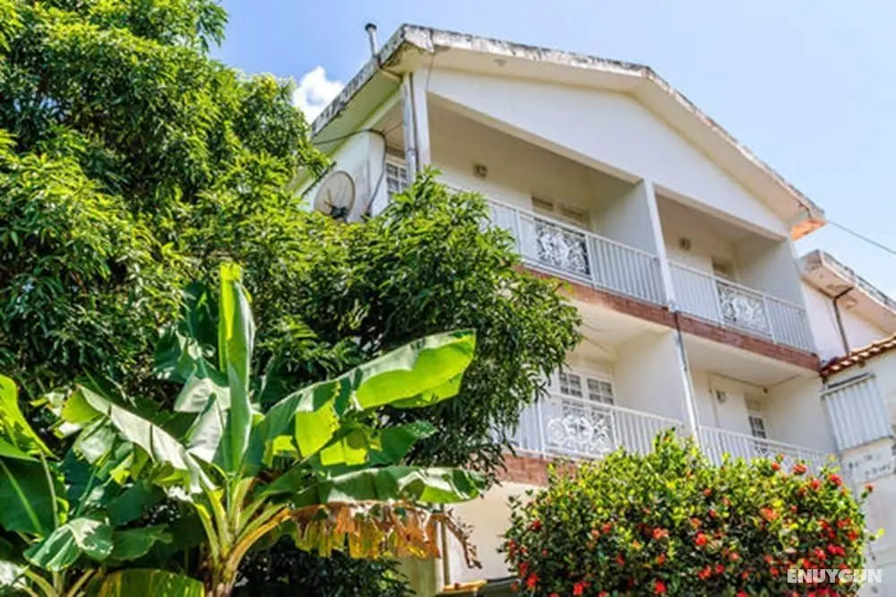 Les chambres d'hotes de la Villa Cayol - Öne Çıkan Resim