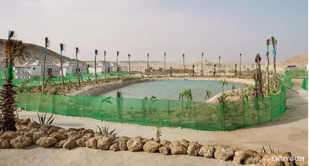 Les Dunes de Dakhla - Öne Çıkan Resim