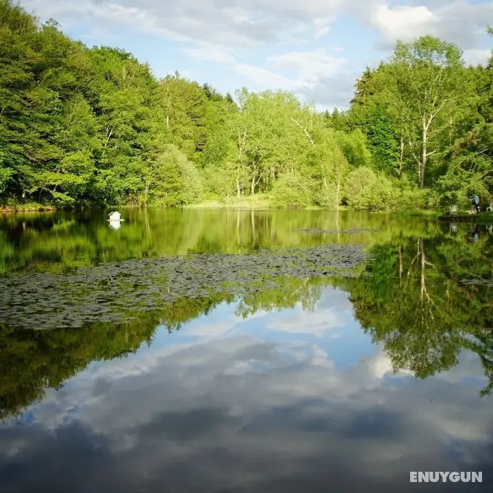 Les gîtes insolites de l'etang d'Anty - Dış Mekan