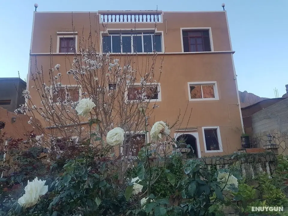 Les Jardins Des Gorges De Todgha - Öne Çıkan Resim