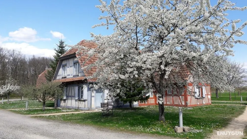 Les Loges de l'Ecomusée D'Alsace - Öne Çıkan Resim