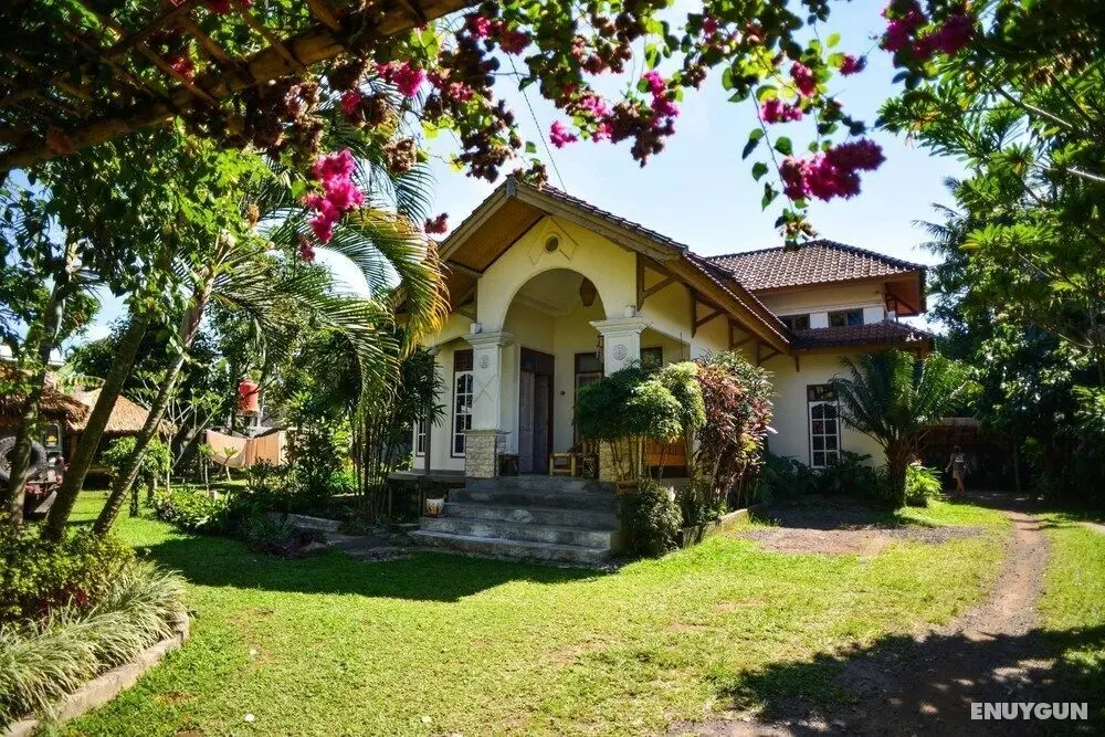 Les Rizieres Lombok - Öne Çıkan Resim