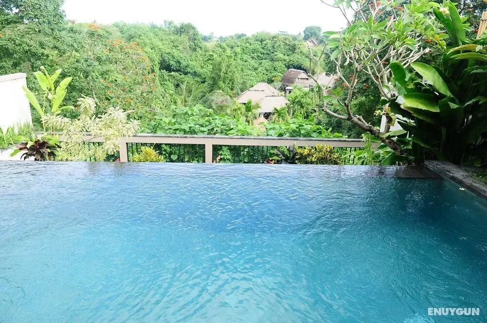 Letung Sanctuary Ubud - Havuz