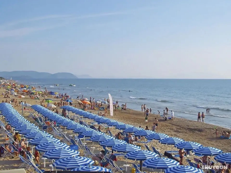 Levante San Vincenzo - Oda