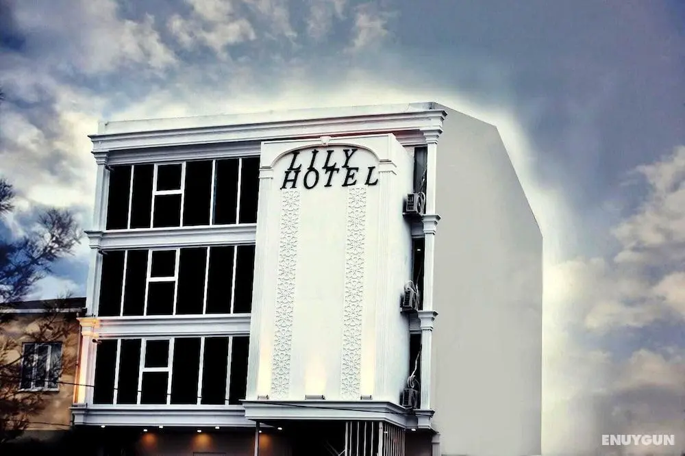 Lily Airport Otel - Öne Çıkan Resim