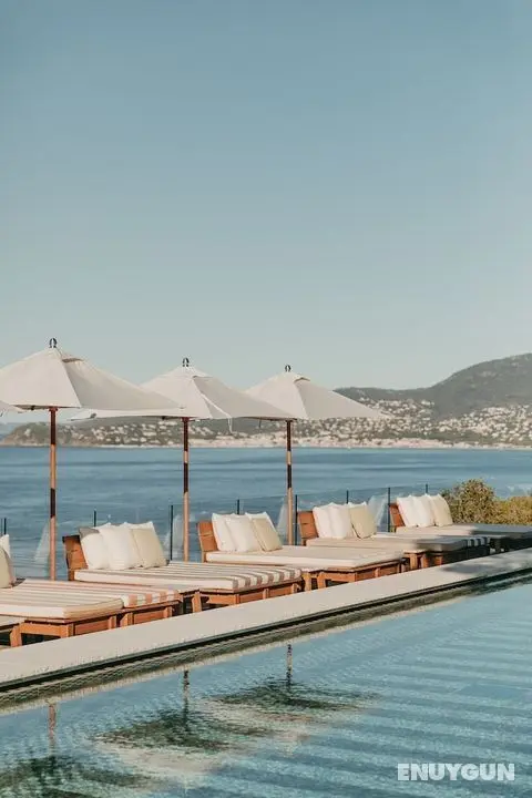 Lily of the Valley - Öne Çıkan Resim