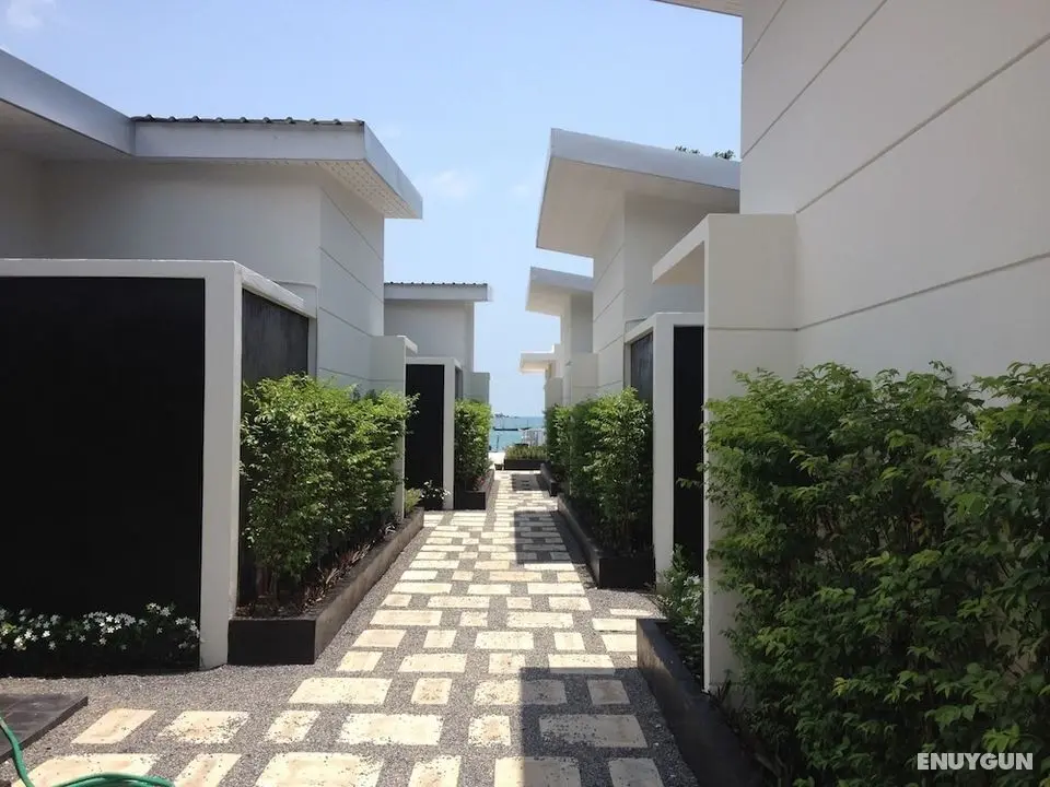 Limelight Village - Öne Çıkan Resim