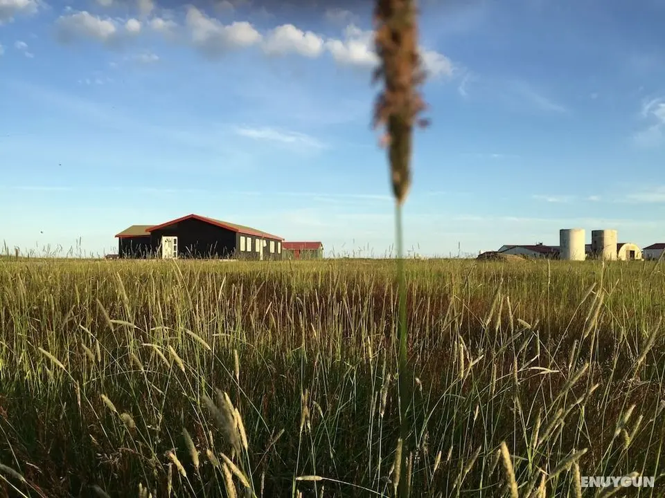 Lindartún Guesthouse - Öne Çıkan Resim