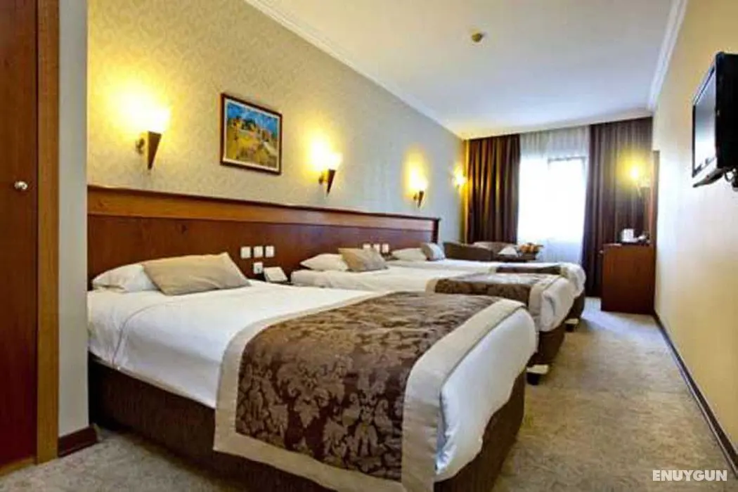 Lion Hotel - Oda