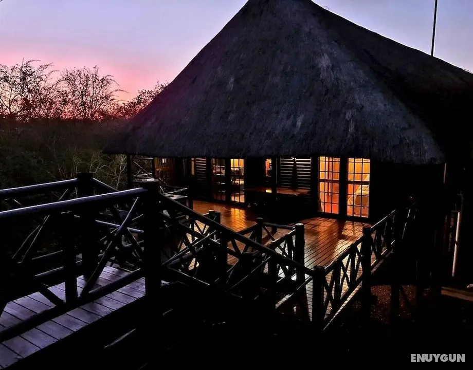 Lion Tree Bush Lodge - Öne Çıkan Resim
