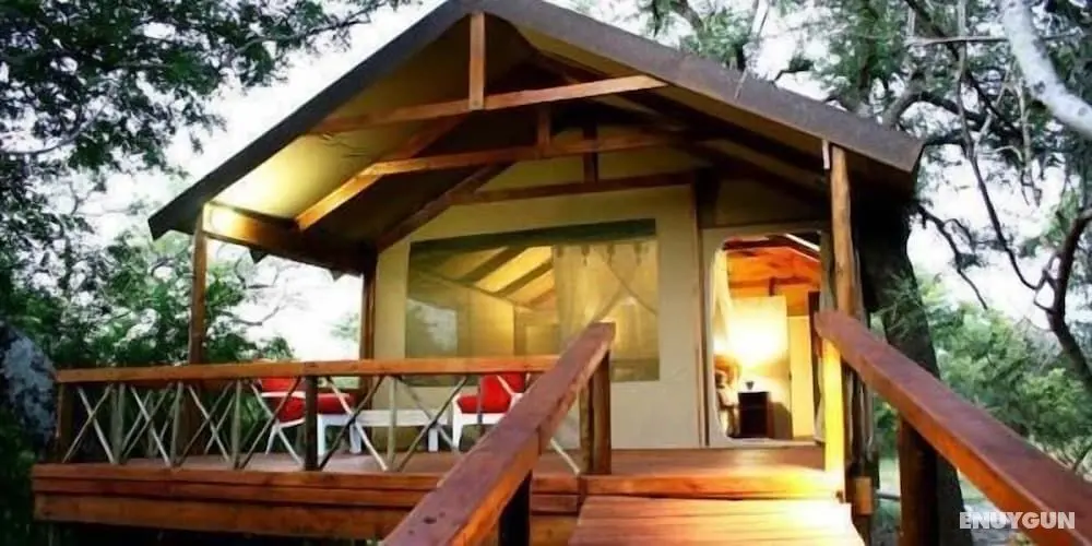 Lion Tree Top Lodge - Öne Çıkan Resim
