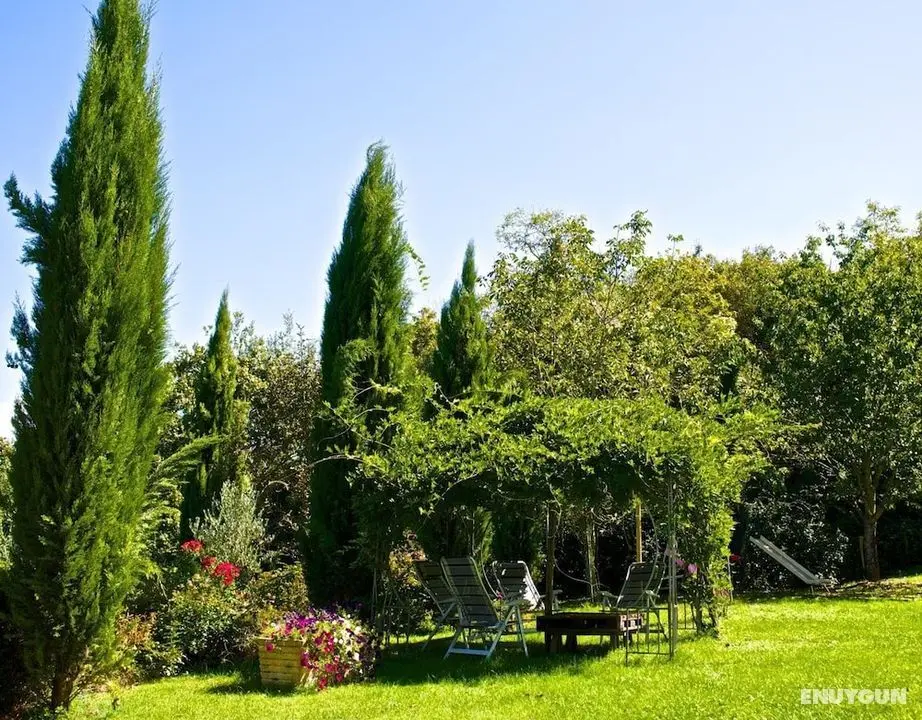 Lionforti da Vico B&B and Apartments - Dış Mekan