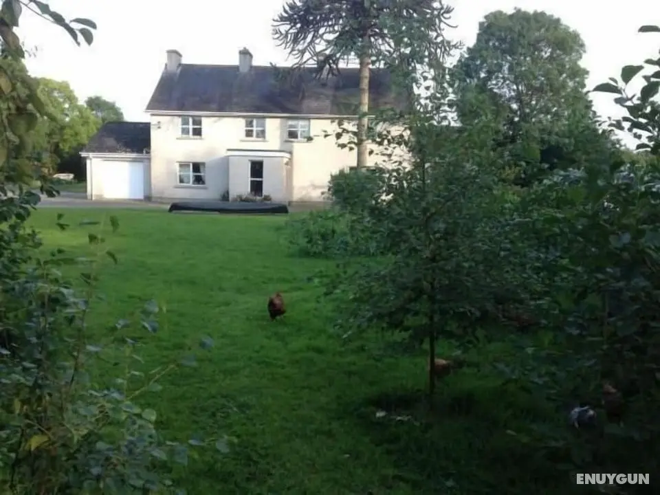 Lisieux House on Lough Neagh - Öne Çıkan Resim