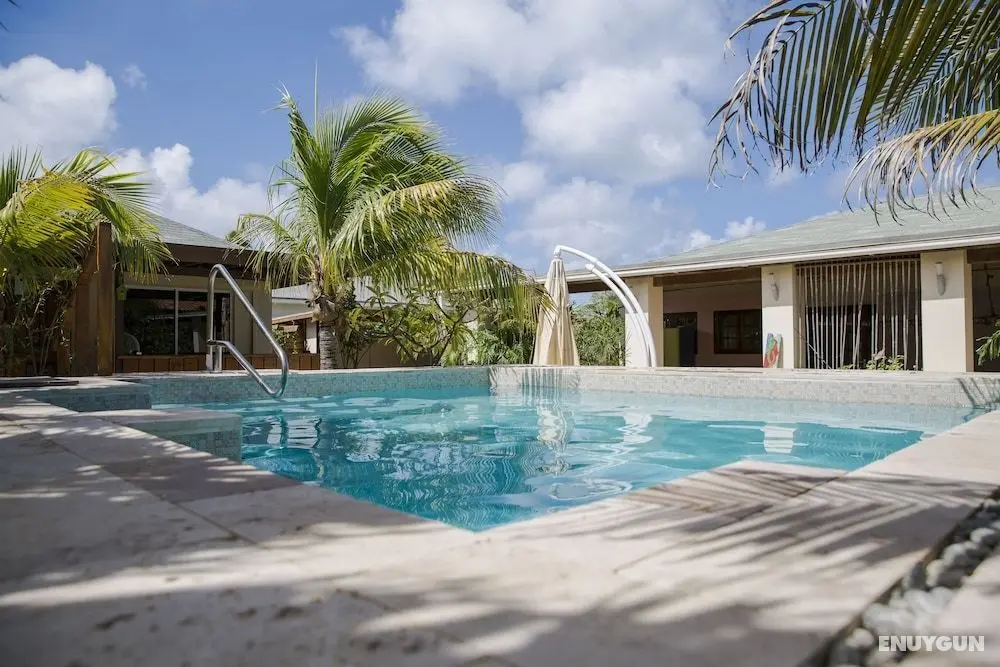 Little Jungle Apartments Aruba - Öne Çıkan Resim
