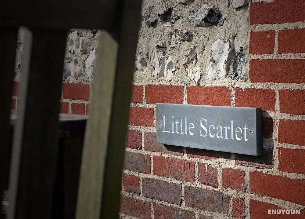 Little Scarlet - Dış Mekan