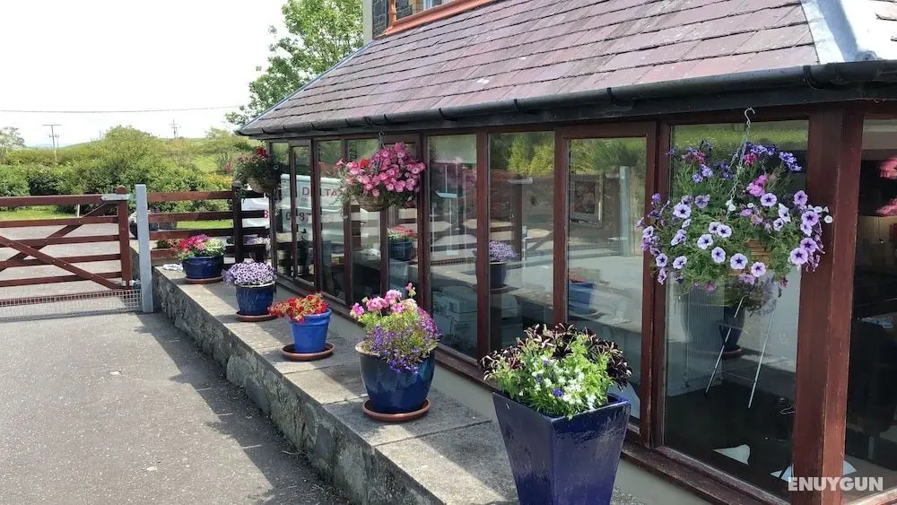 Llangwyryfon Country Breaks - Öne Çıkan Resim