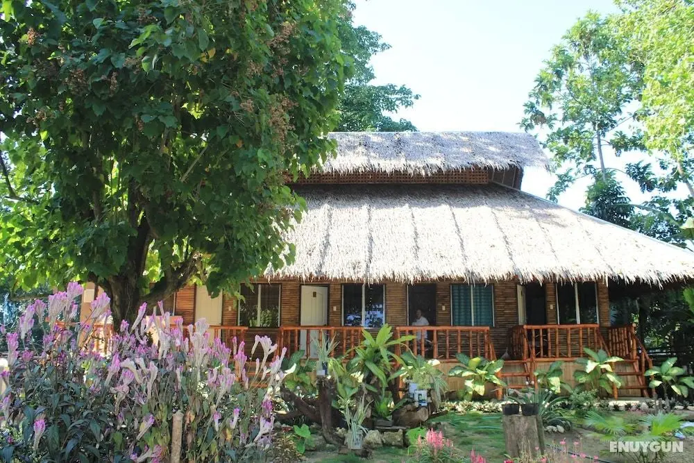 Loboc Cool River Resort - Öne Çıkan Resim