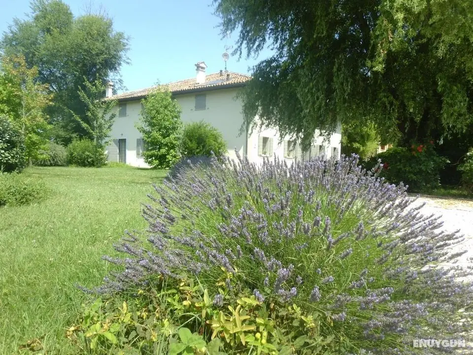 Locanda del Toro - Dış Mekan