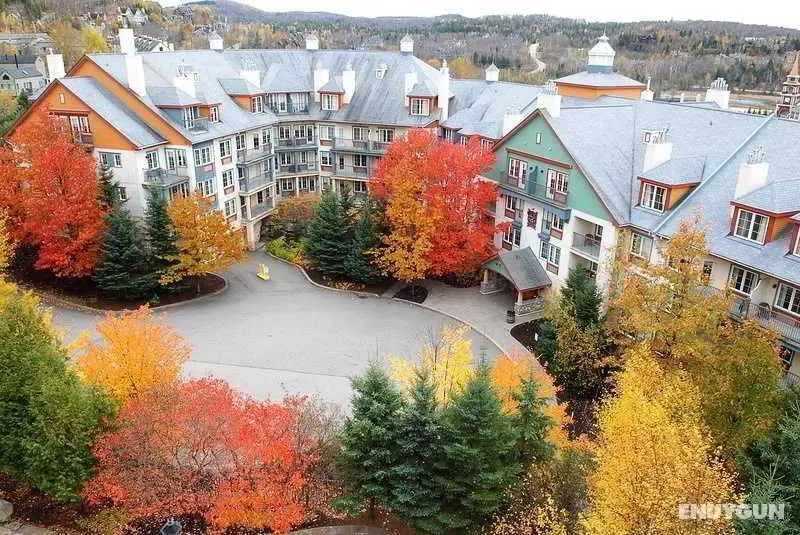 Lodge de la Montagne - Genel