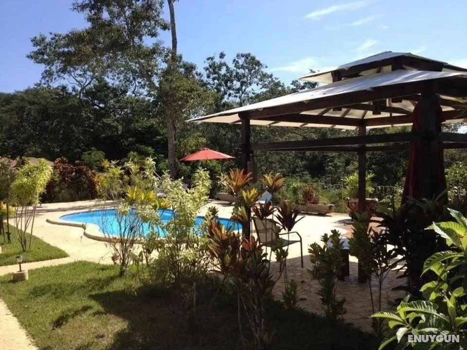 Lodge Margouillat - Öne Çıkan Resim