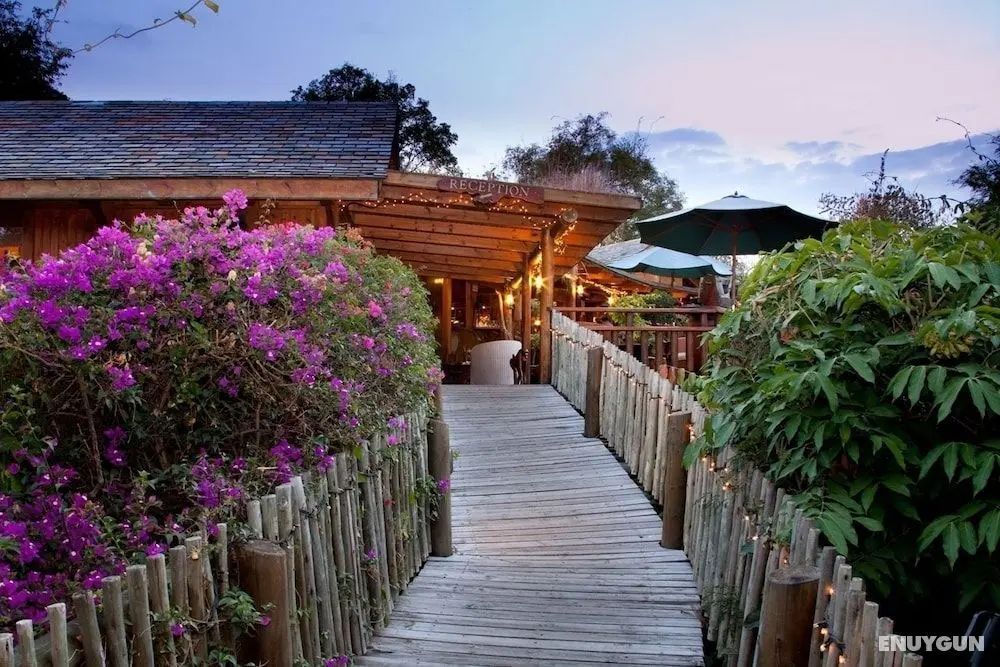Lodge Roche Tamarin - Dış Mekan
