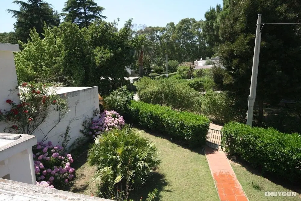 Villa Lola - Dış Mekanlar