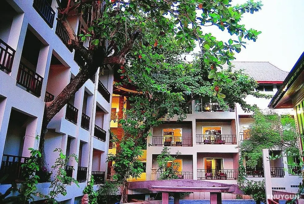 Lomtalay Chalet Resort - Öne Çıkan Resim