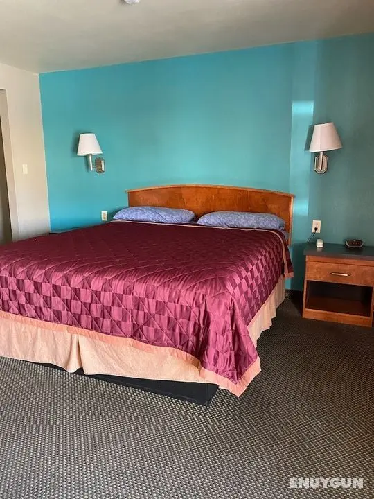 Lone Pine Budget Inn - Oda