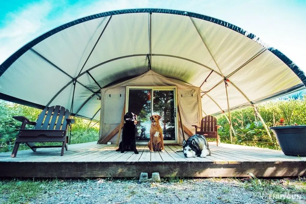 Long Point Eco-Adventures - Öne Çıkan Resim