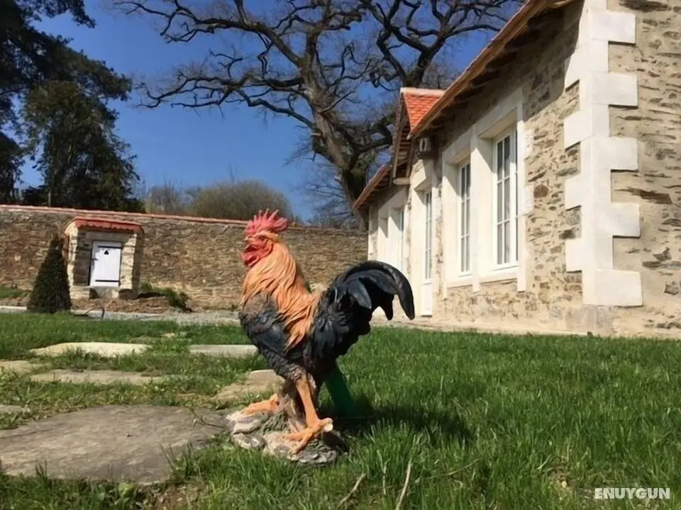 L'orangerie DU Chateau DES Cedres - Öne Çıkan Resim