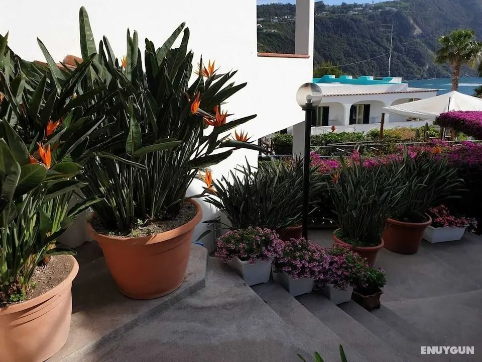 Villa Loreta - Öne Çıkan Resim