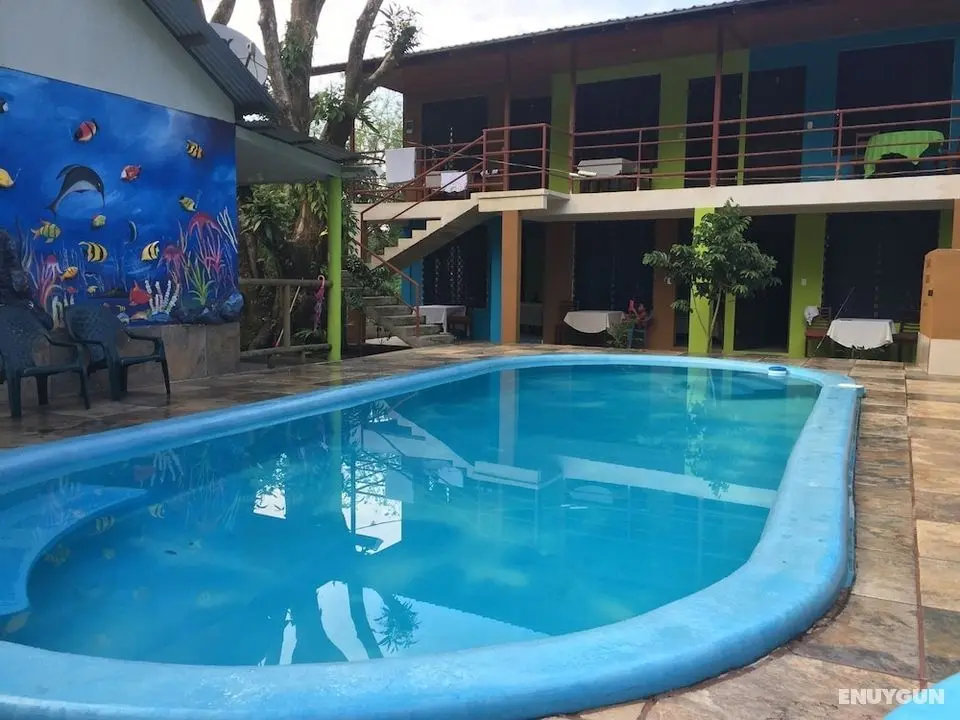 Los Amigos Jungle Hotel Tortuguero - Öne Çıkan Resim