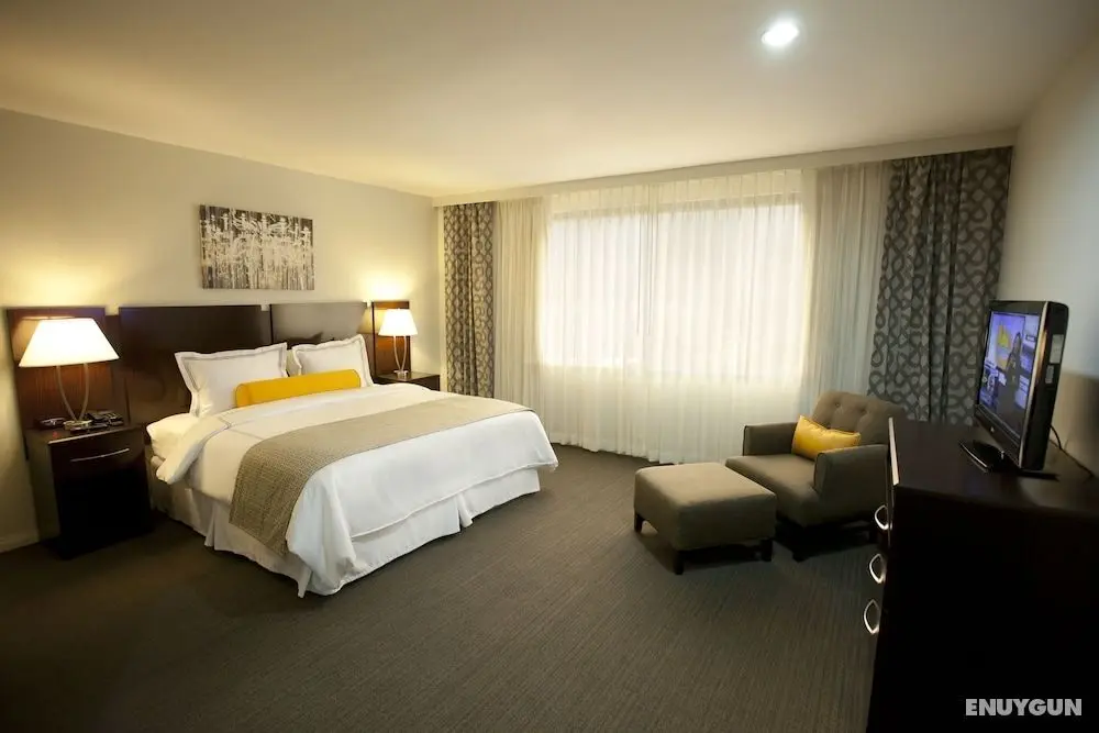 Hotel Los Andes - Öne Çıkan Resim