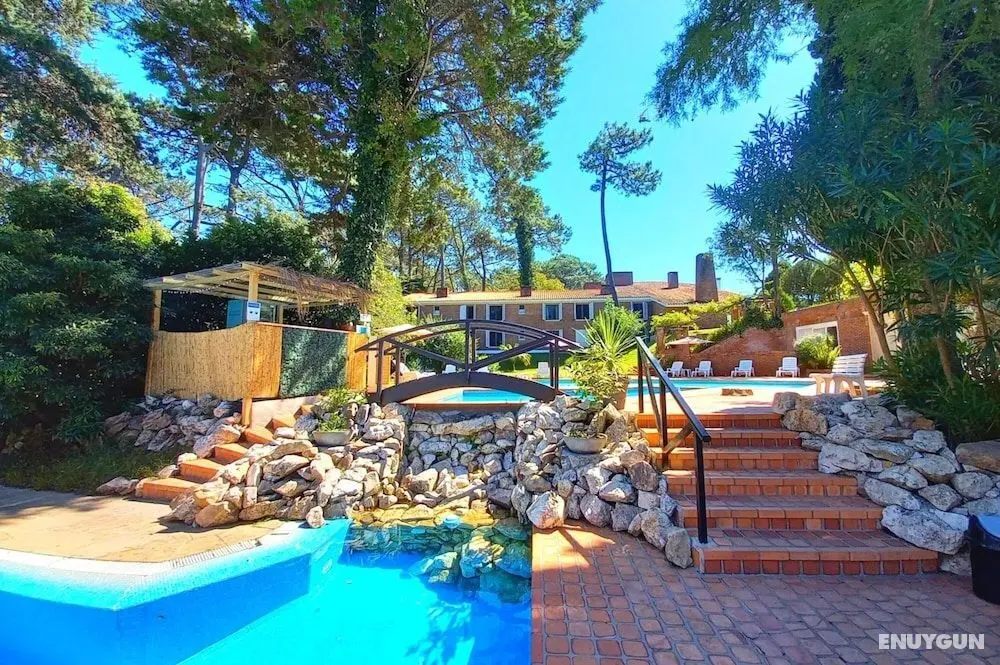 Los Pinos Punta Del Este - Öne Çıkan Resim