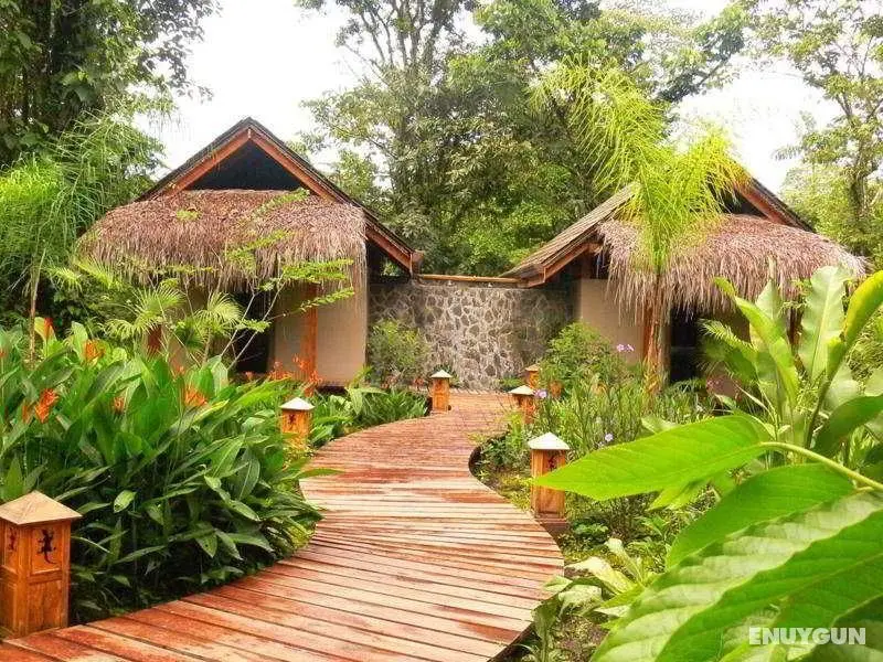 Lost Iguana Resort & Spa - Genel