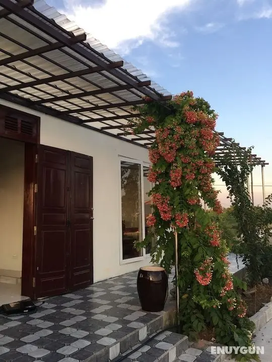 Lotus House - Öne Çıkan Resim