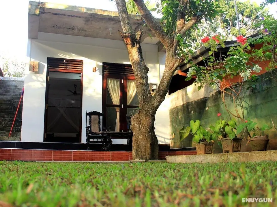 Lotus Villa - Dış Mekan