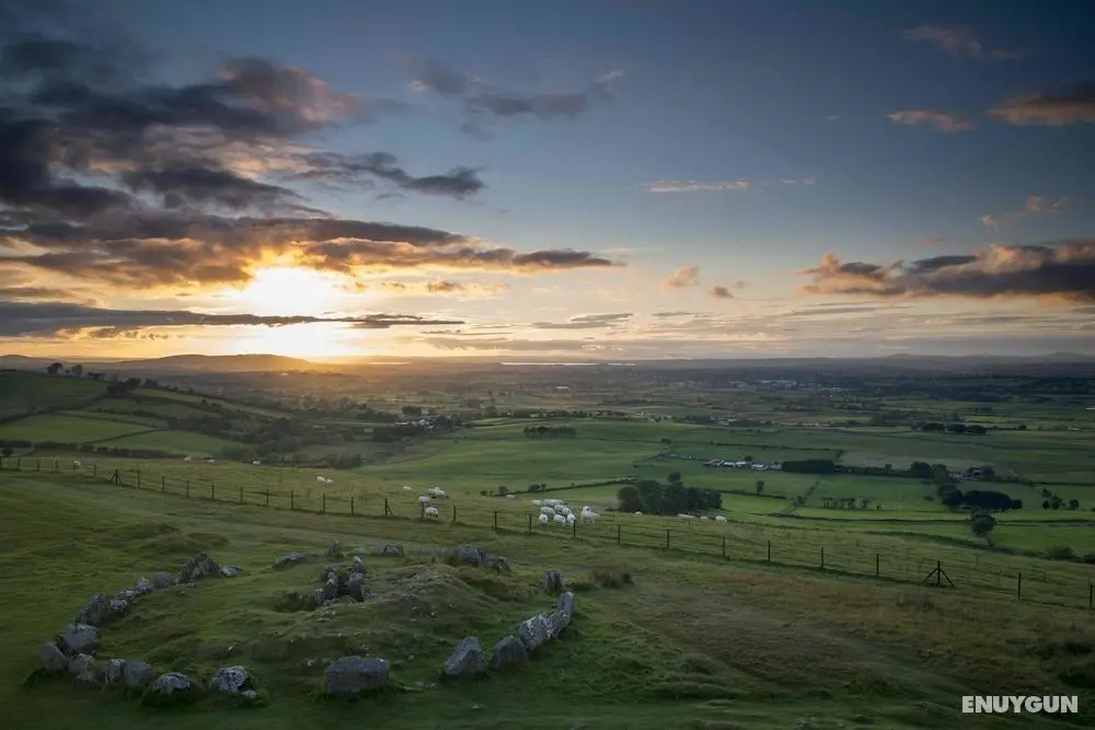 Loughcrew Megalithic Centre - Dış Mekan