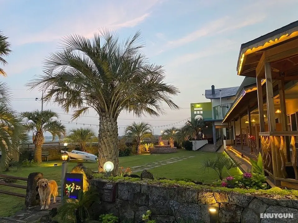 Lounge House Jejuda - Dış Mekanlar