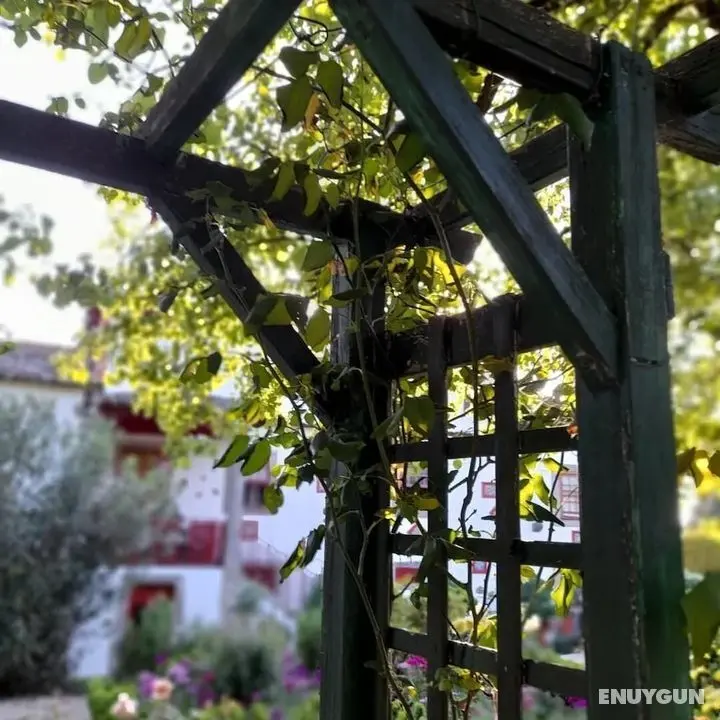 Lovely 6-bed Cottage in Braga Enjoy and Relax - Öne Çıkan Resim
