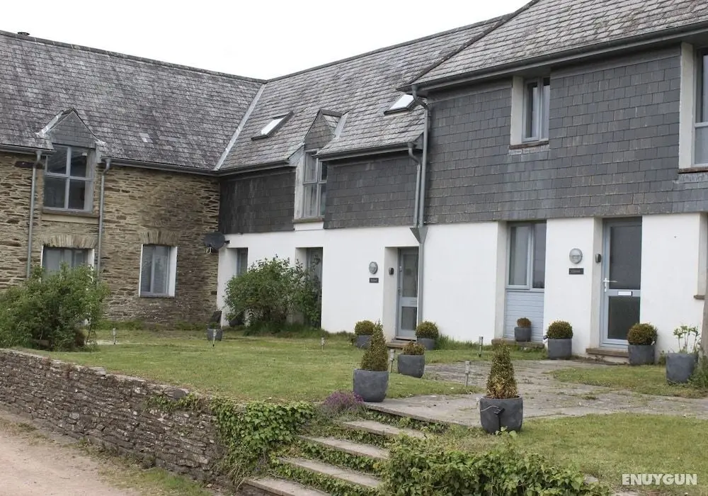 Lovely Countryside Cottage, Diptford Near Totnes - Dış Mekanlar