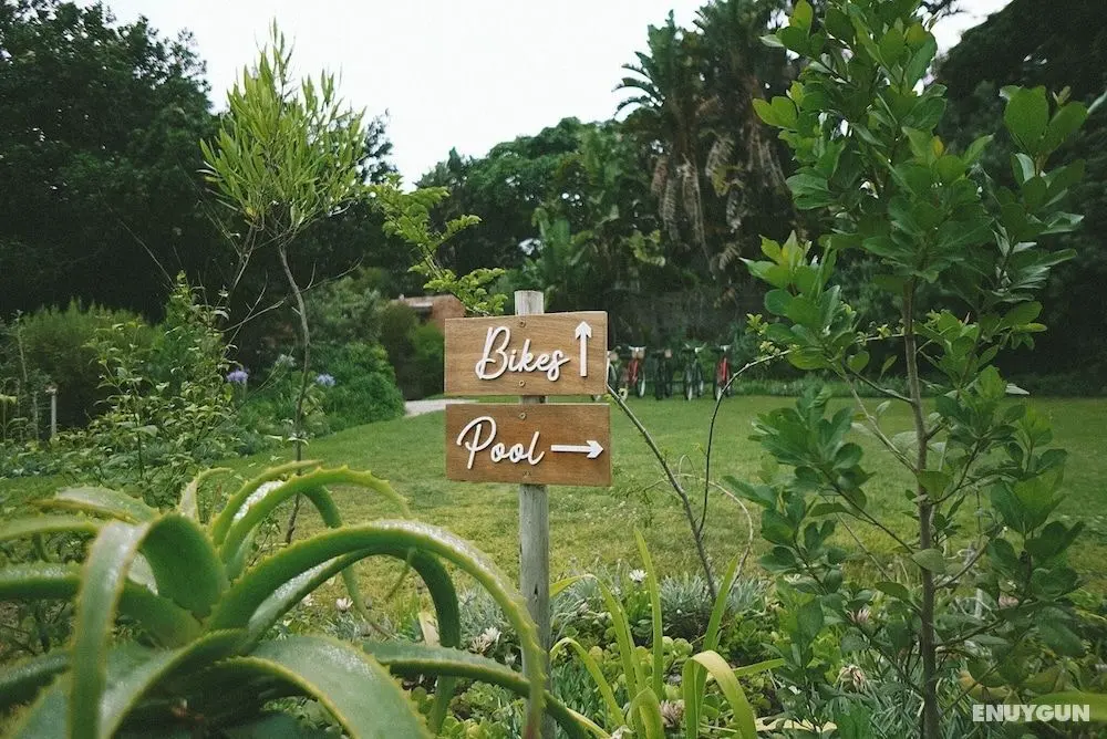 Lovemore Lodges Knysna - Öne Çıkan Resim